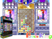 Puzzle King (PacMan 2, Tetris, HyperMan 2, Snow Bros.)