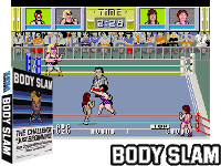 Body Slam (8751 317-0015)