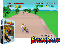 Enduro Racer (bootleg of YM2203, FD1089B 317-0013A set)