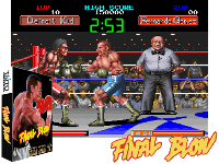 Final Blow (Japan)