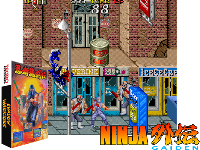 Ninja Gaiden (US)