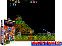 Ghosts'n Goblins (bootleg with Cross)