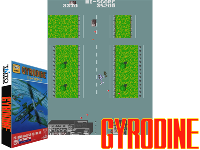 Gyrodine (Taito Corporation license)