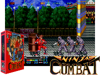 Ninja Combat (NGM-009)