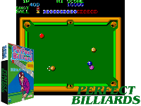 Perfect Billiard