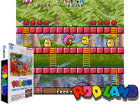 Rod-Land (Japan bootleg with unencrypted program and GFX)