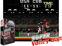 Super Volleyball (US, Data East license)