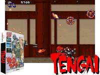 Sengoku Blade: Sengoku Ace Episode II (Japan) / Tengai (World)