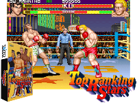 Top Ranking Stars (Ver 2.1O 1993/05/21) (New Version)