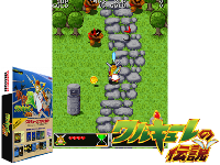 Valkyrie no Densetsu (Japan)