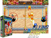 Windjammers / Flying Power Disc