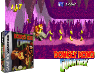 Donkey Kong Country