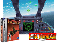 F-14 Tomcat