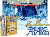 Konami Collector's Series : Arcade Advanced