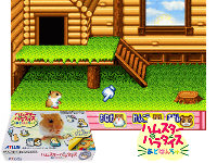 Hamster Paradise Advanchu