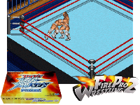 Final Fire Pro Wrestling : Yume no Dantai Unei!