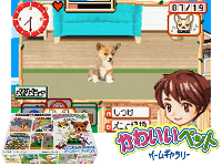 Kawaii Pet Game Gallery