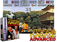 International Karate Advanced