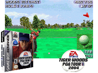 Tiger Woods PGA Tour 2004