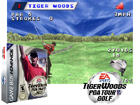 Tiger Woods PGA Tour Golf