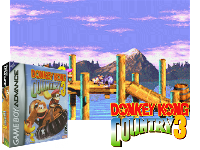 Donkey Kong Country 3