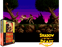 Shadow of the Beast II