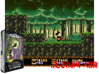 Castle of Illusion Starring Mickey Mouse