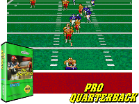 Pro Quarterback