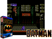 Batman : The Video Game