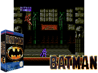 Batman : The Video Game