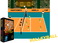 Volleyball