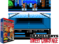 Crash 'n' the Boys : Street Challenge