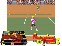 David Crane's Amazing Tennis