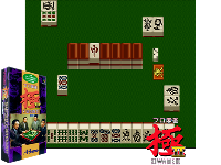 Pro Mahjong Kiwame II