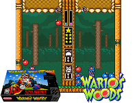 Wario's Woods