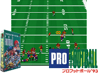 Pro Football '93