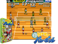 Multi Play Volleyball