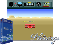 Pilotwings