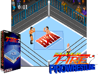 Super Fire Pro Wrestling 2