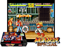 Fatal Fury Special