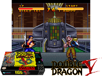 Double Dragon V : The Shadow Falls