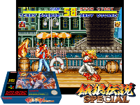 Fatal Fury Special