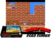 Looney Tunes : Road Runner