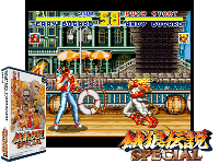 Garou Densetsu Special