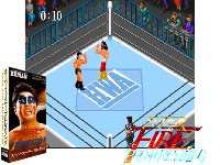 Super Fire Pro Wrestling