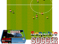 Sensible Soccer : European Champions