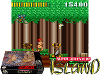 Super Adventure Island