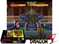 Double Dragon V : The Shadow Falls