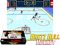 Brett Hull Hockey